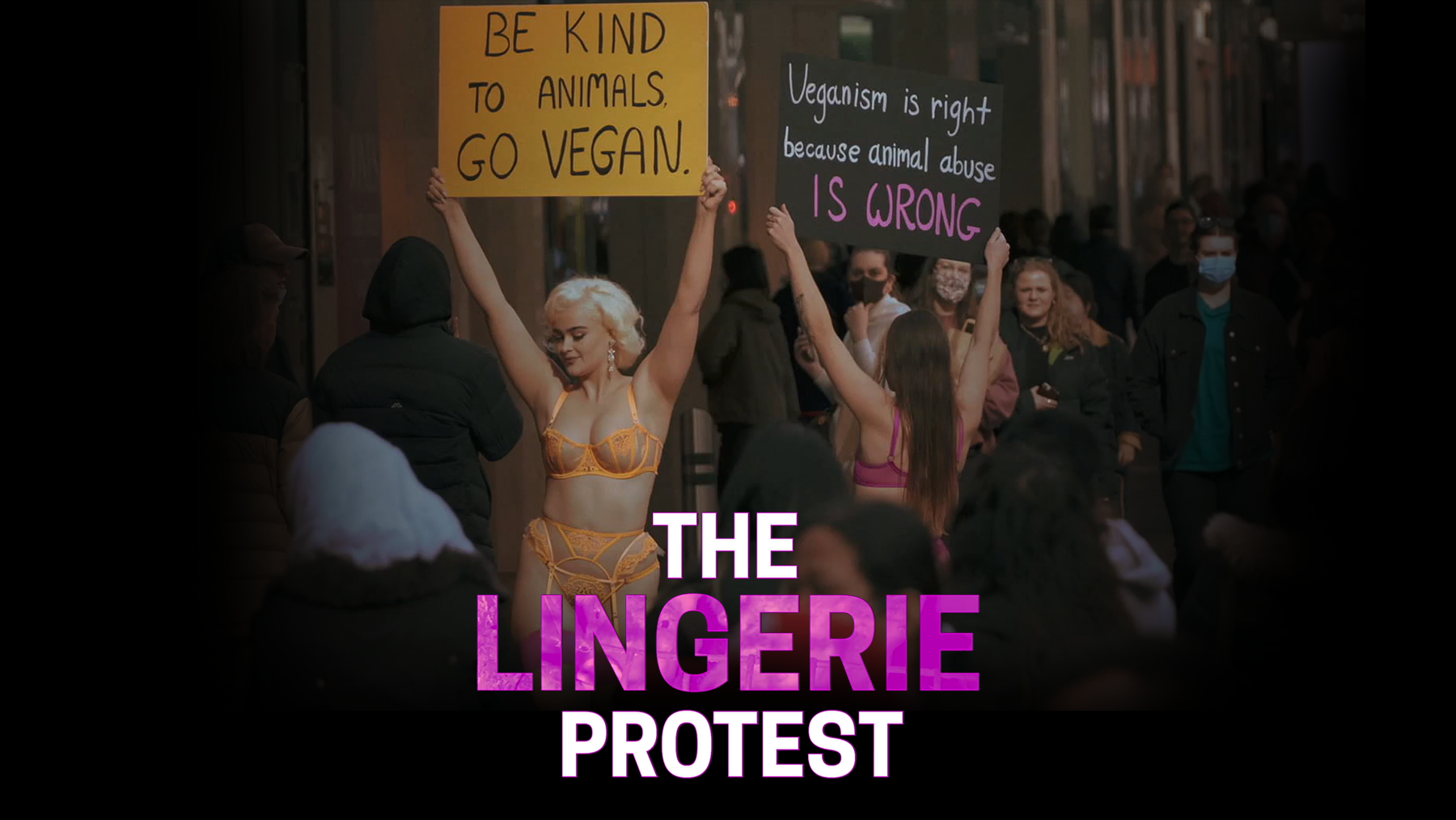 The Lingerie Protest
