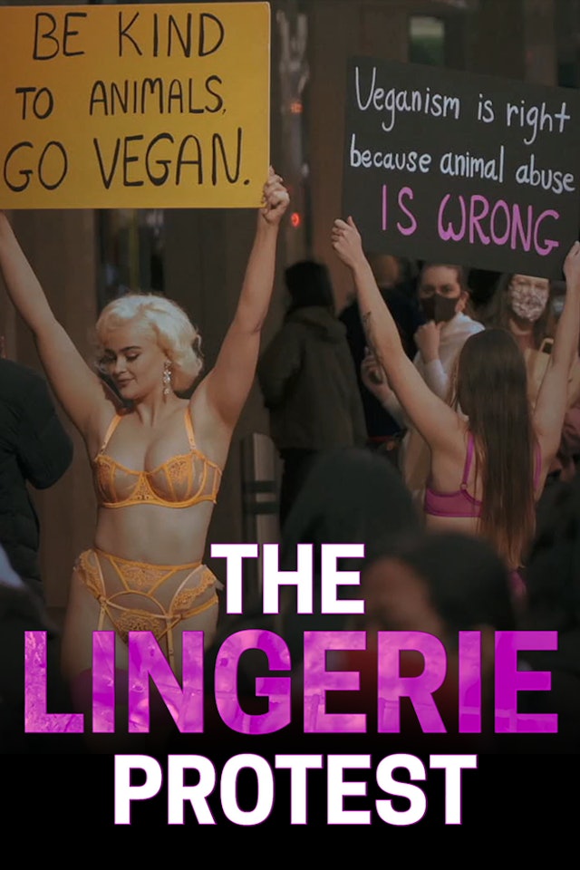 The Lingerie Protest