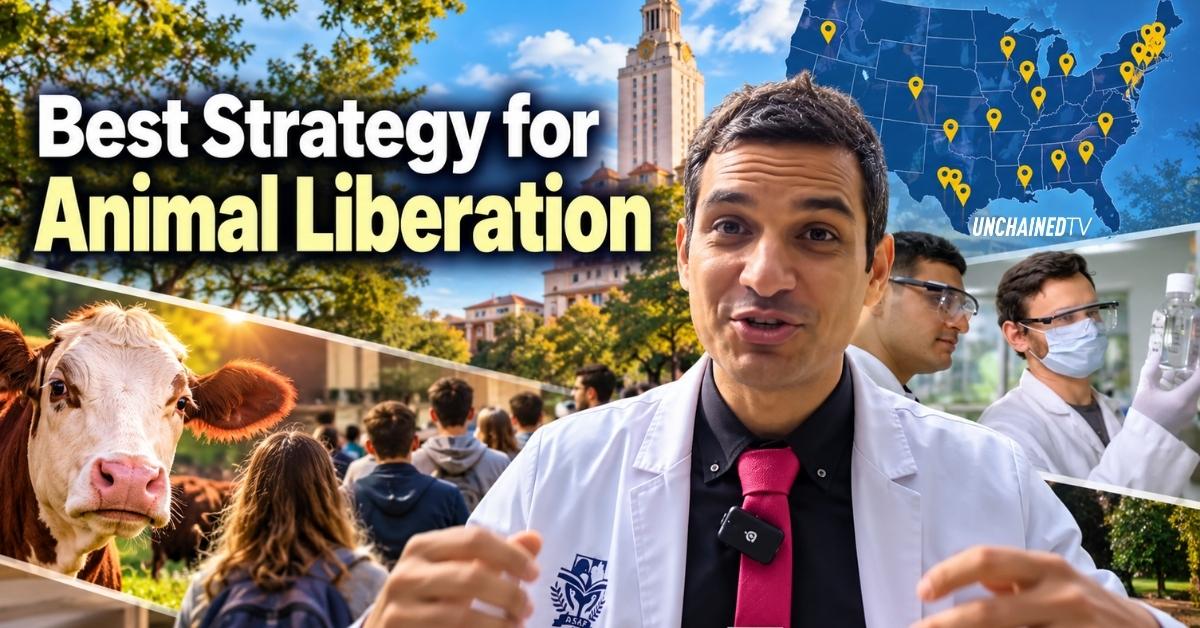 Best Strategy for Animal Liberation