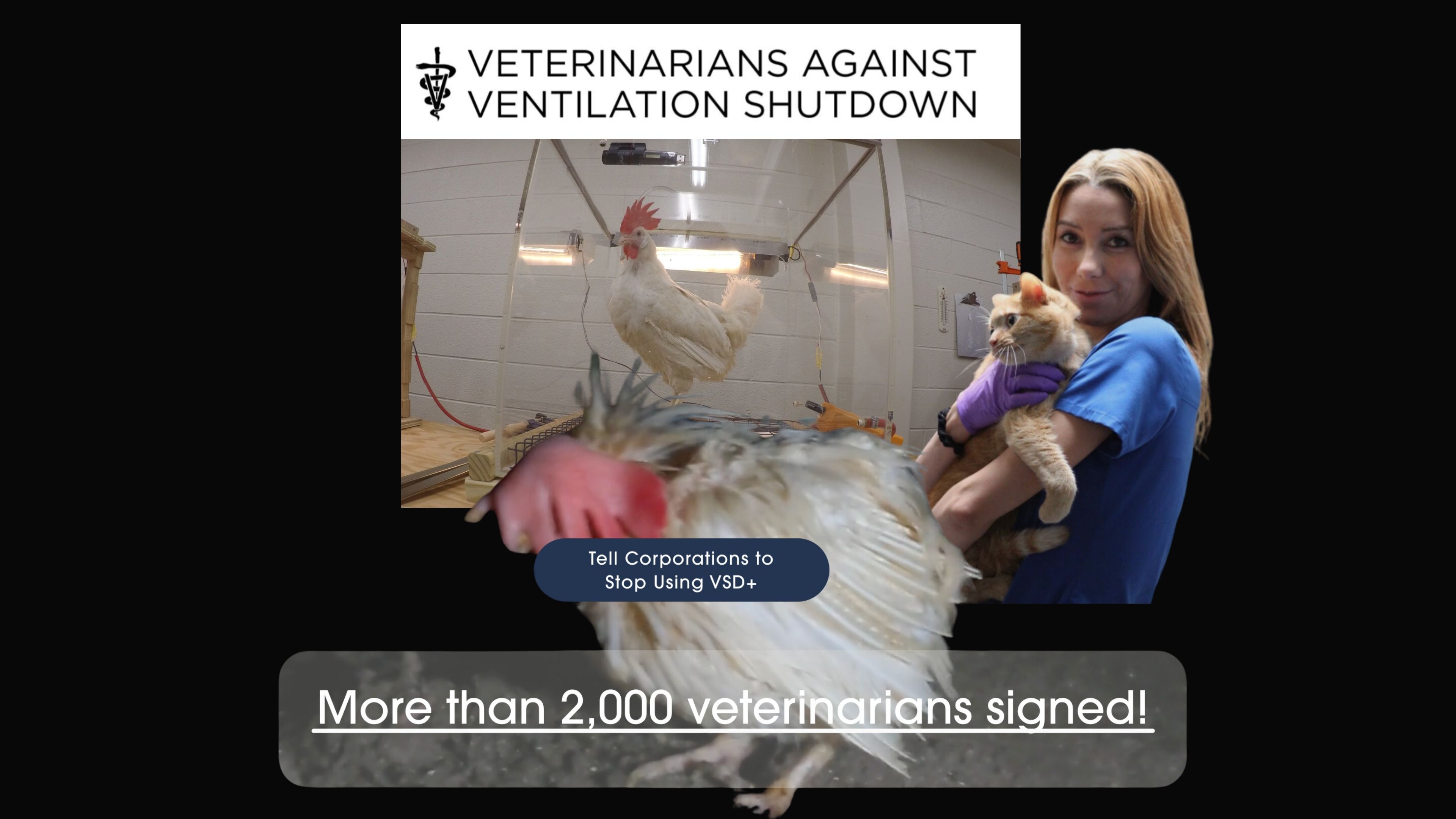 Breaking News on Mass Animal Killing