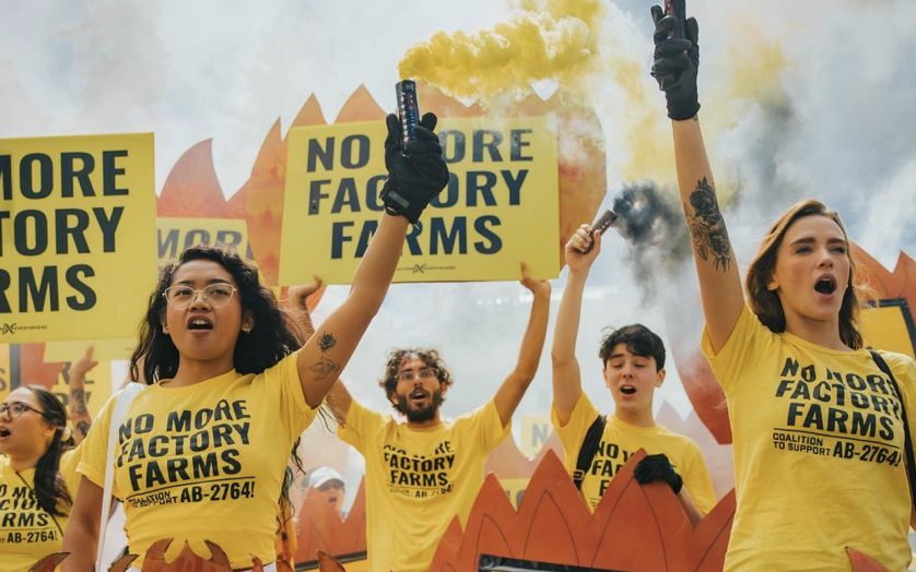 Direct Action Everywhere