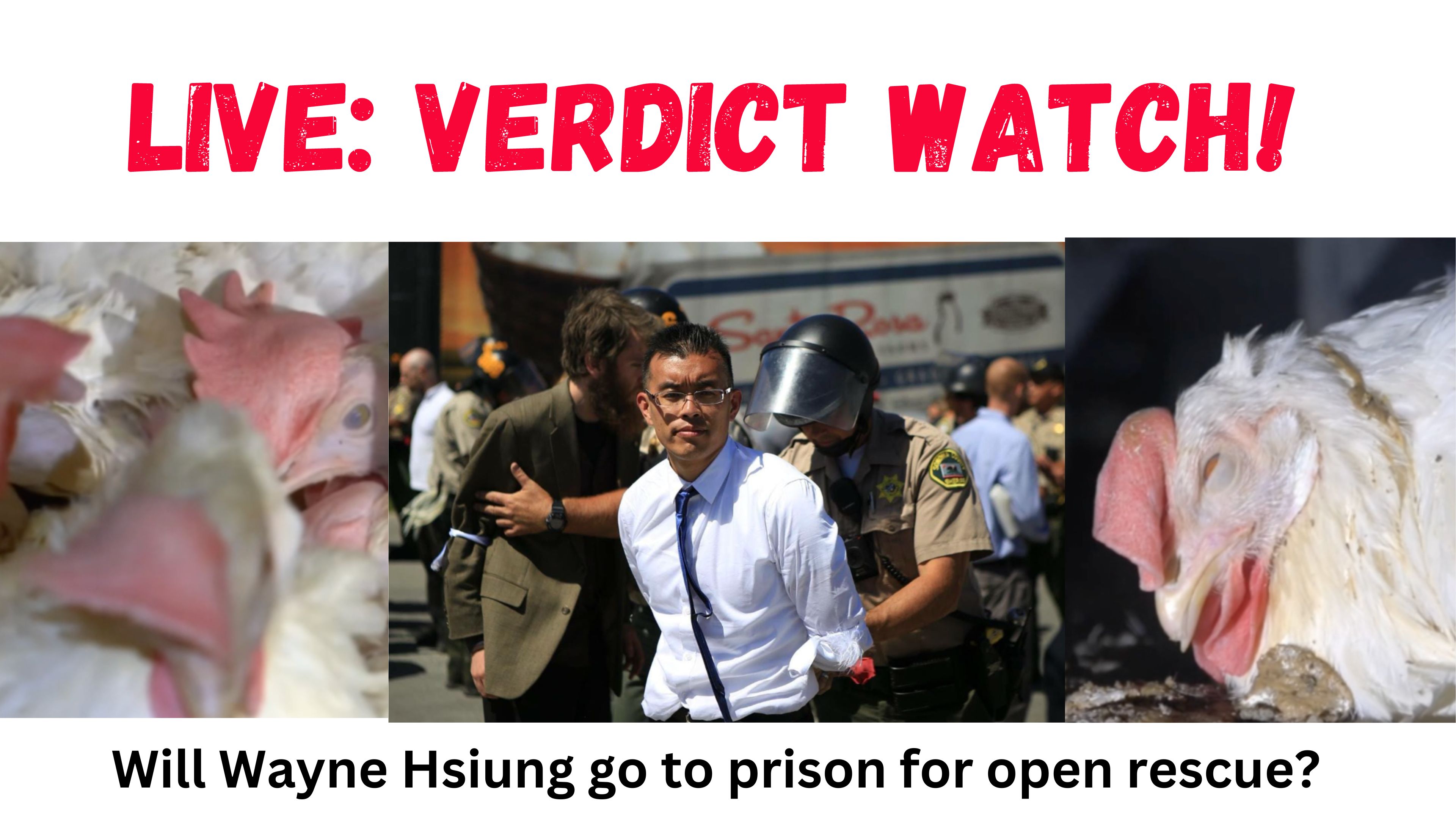LIVE: VERDICT WATCH TEAM COVERAGE!
