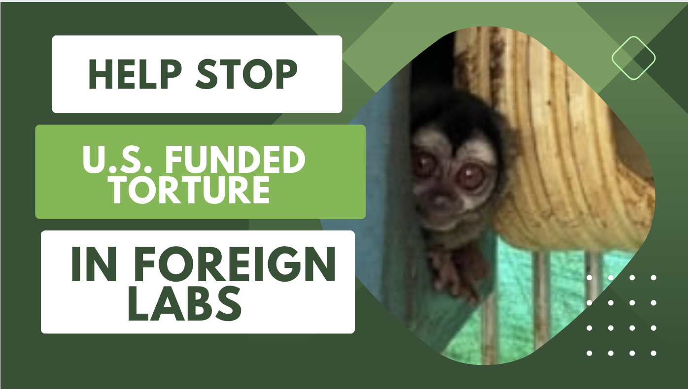 Support Bill to End U.S. $ for Foreign Lab Torture! 
