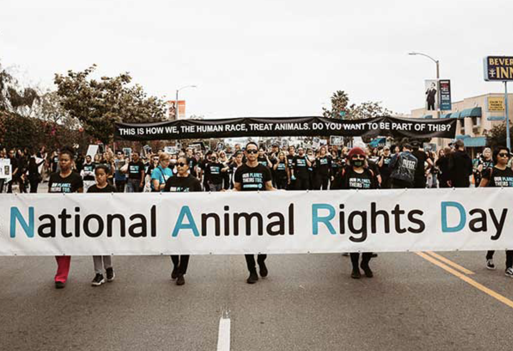 National Animal Rights Day UnchainedTV