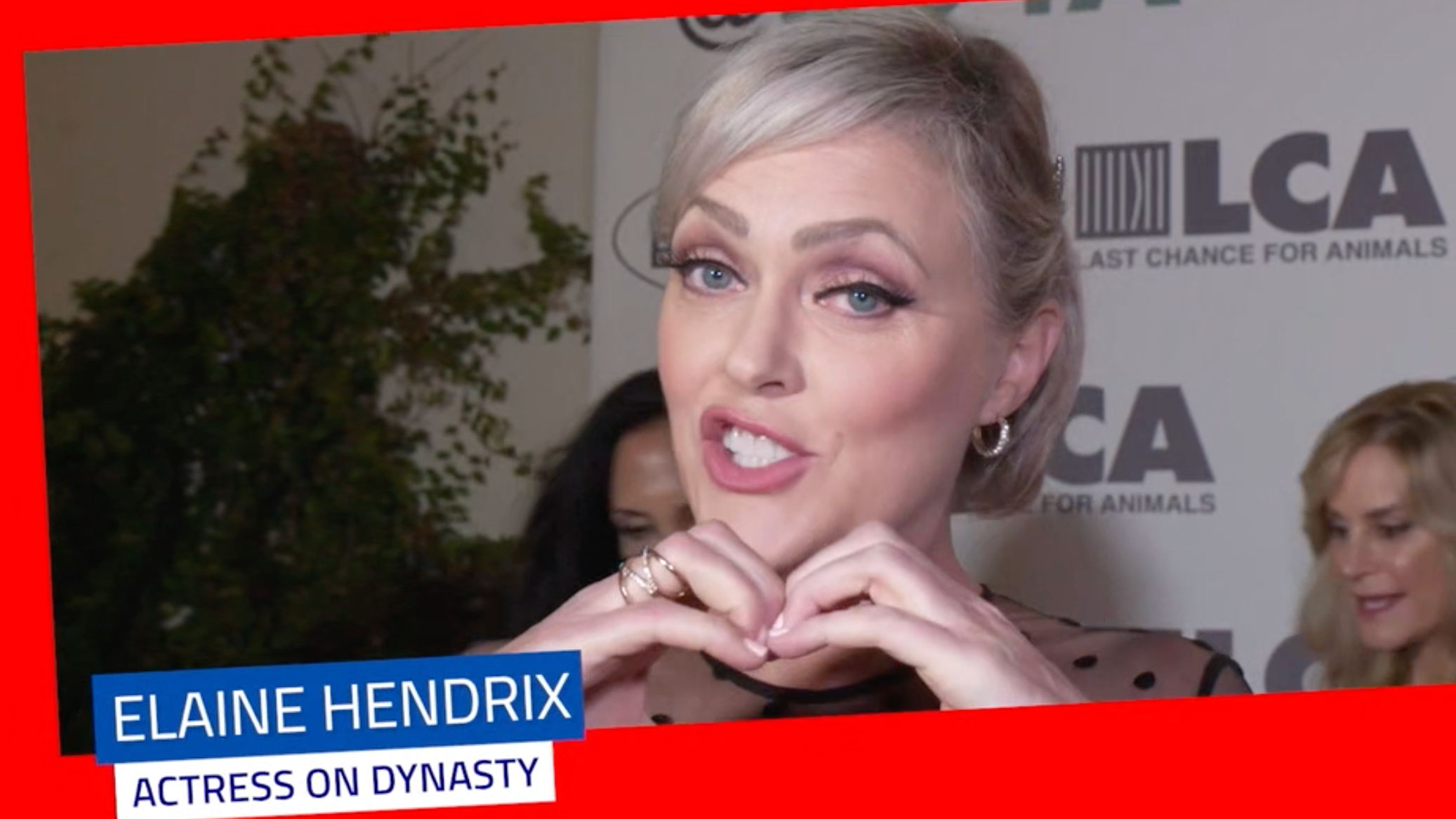 15 SEC PROMO UNCHAINEDTV