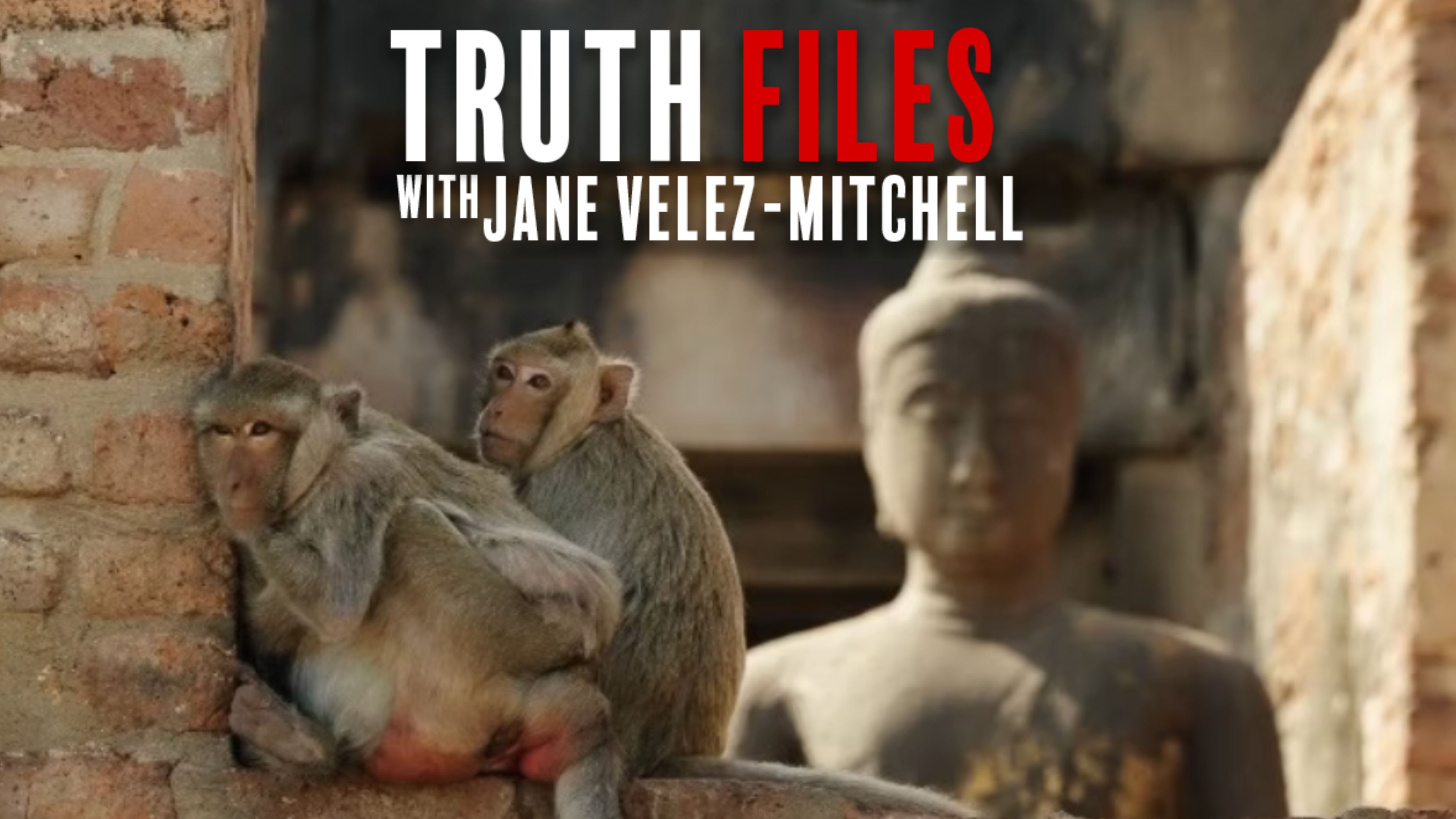 Buddhism and Animals 