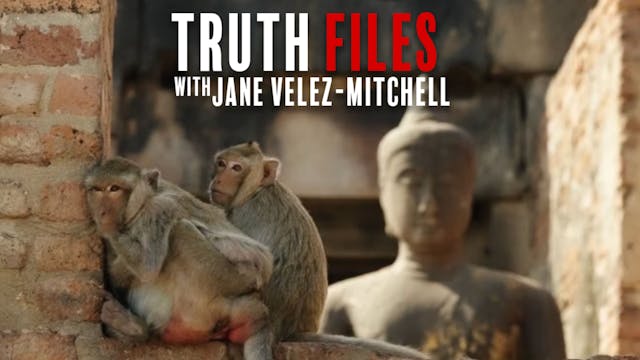 Buddhism and Animals