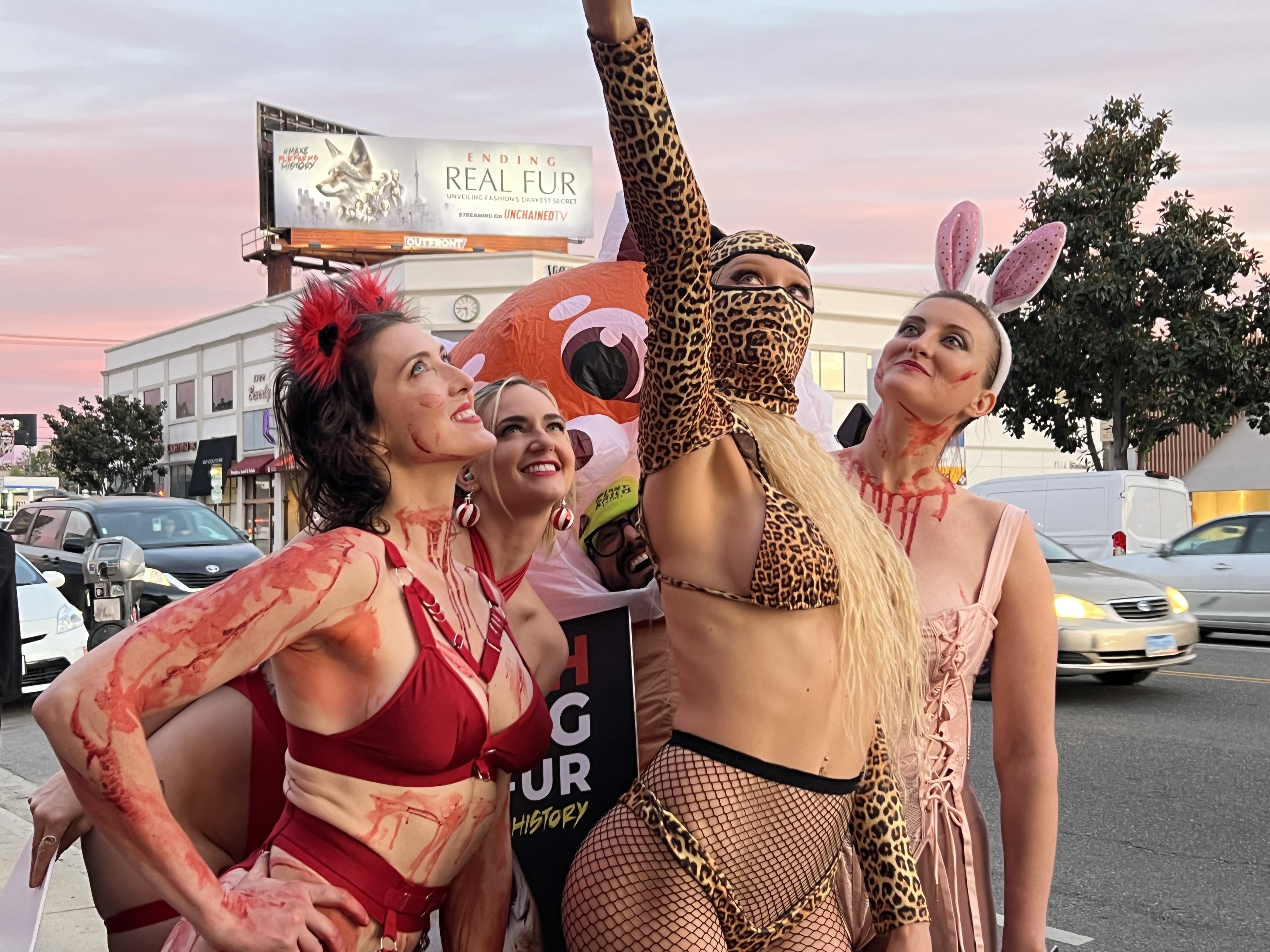 The Fur Fight Is ON!