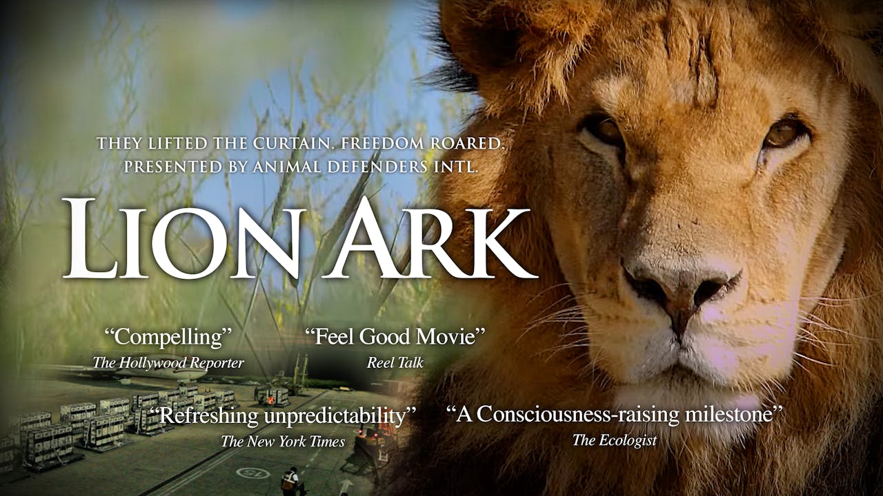 Lion Ark Trailer - UnchainedTV