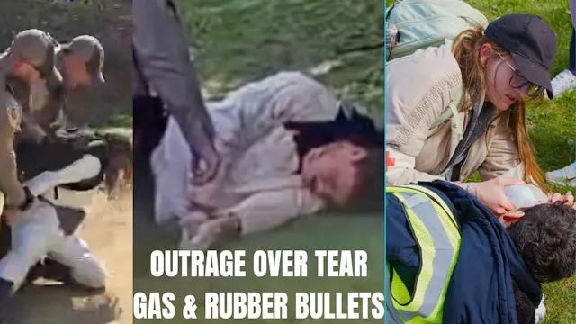 LIVE: DAY 2 of Beagle Saga