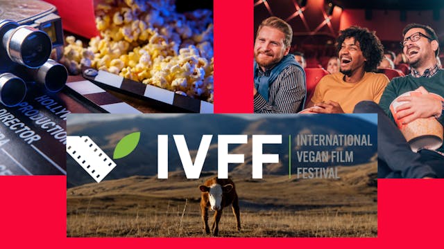Vegan Film Fest Rocks! 