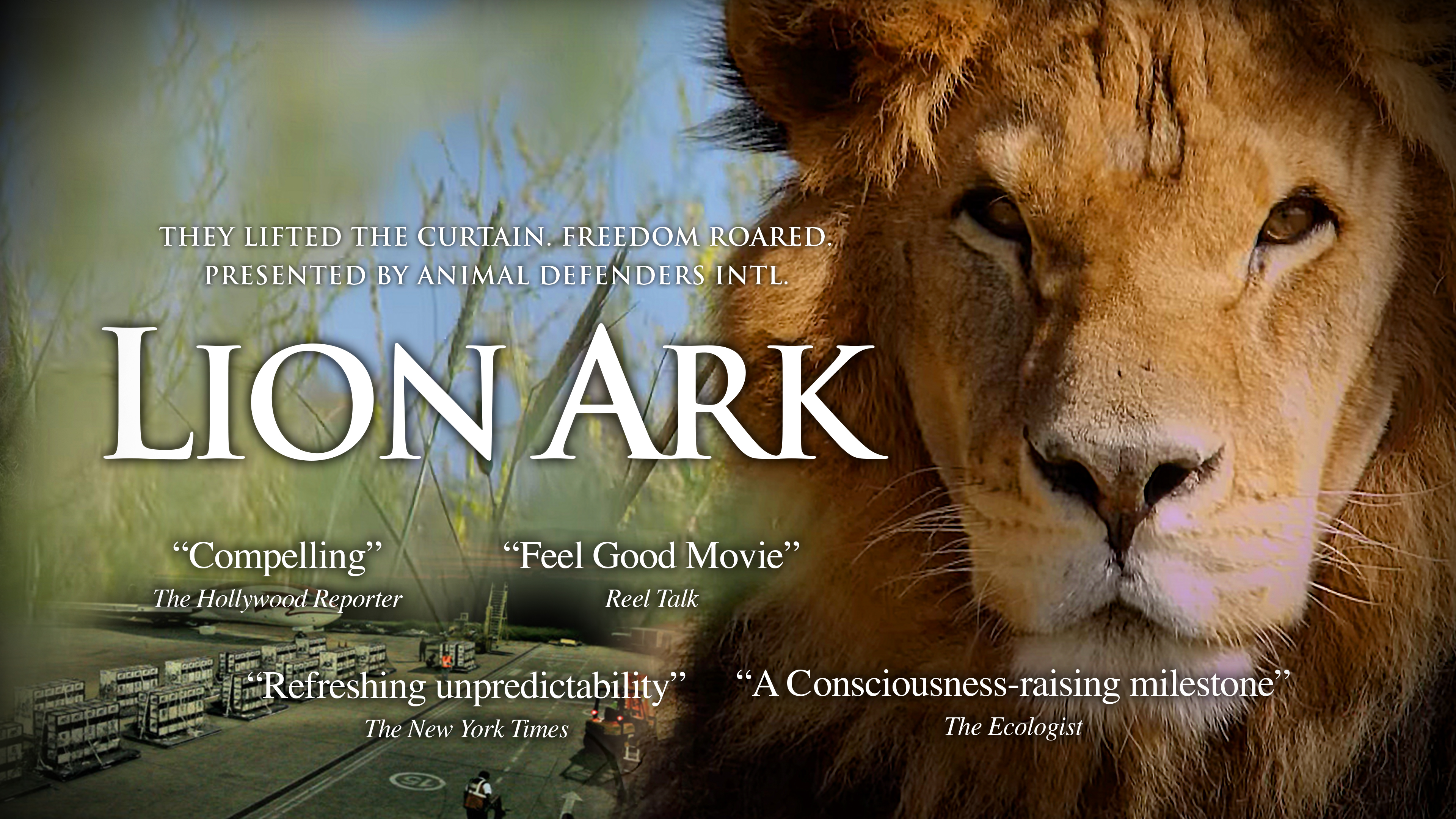 Lion Ark