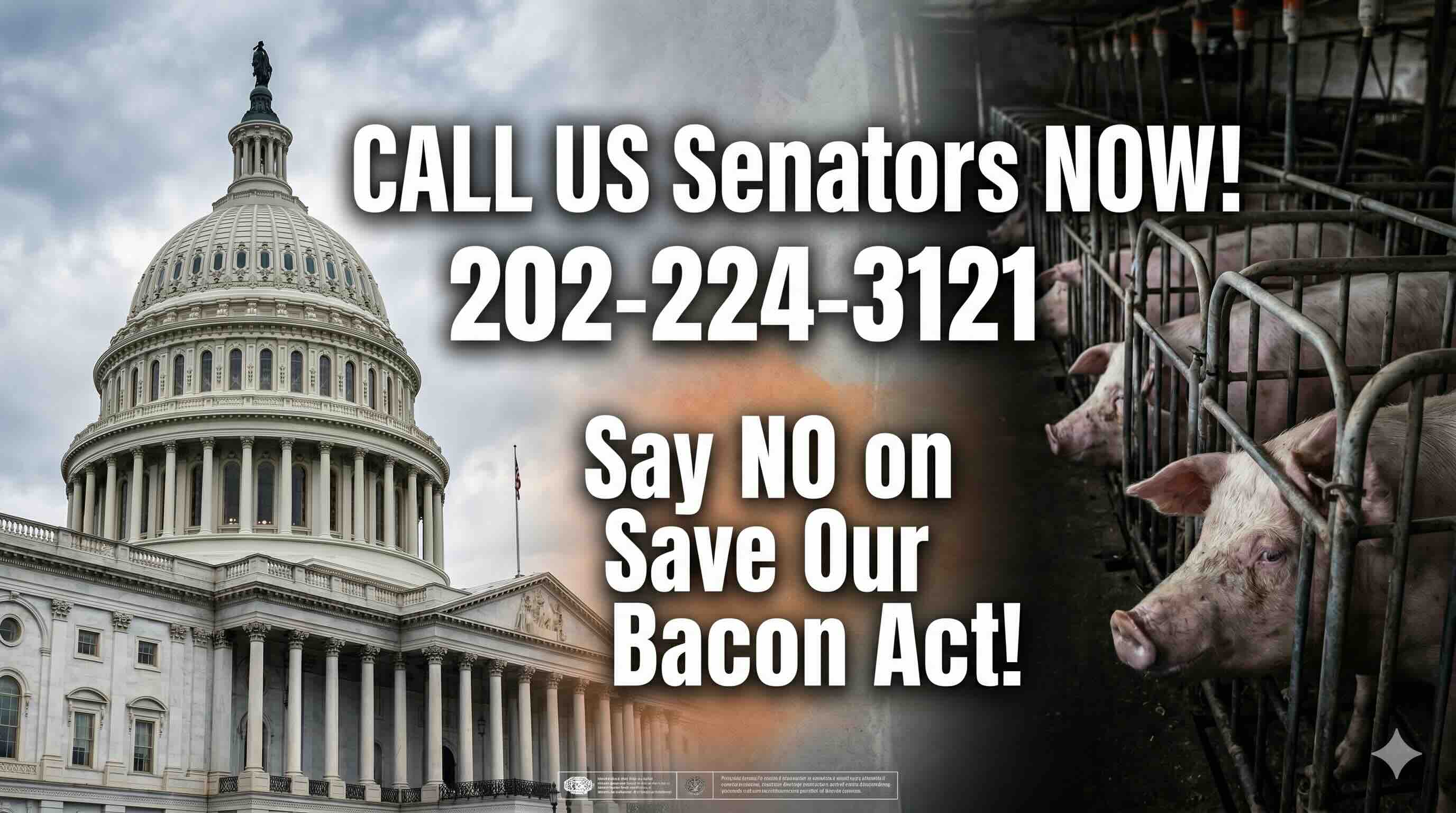 Call NOW! NO on Save Our Bacon!