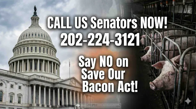 Call NOW! NO on Save Our Bacon!