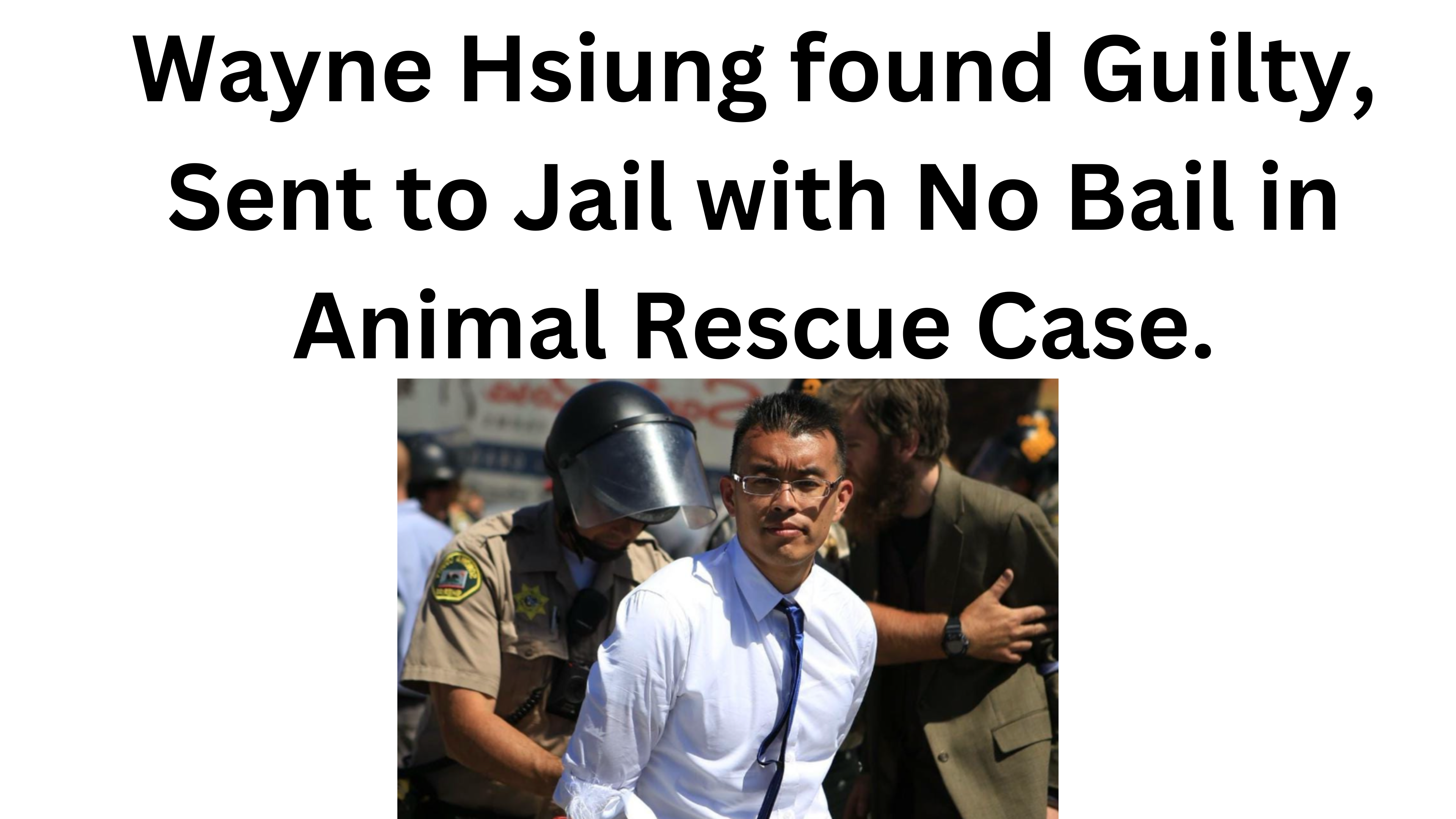 Wayne Hsiung Found Guilty On 3 Counts. Send to Jail with NO Bail. 