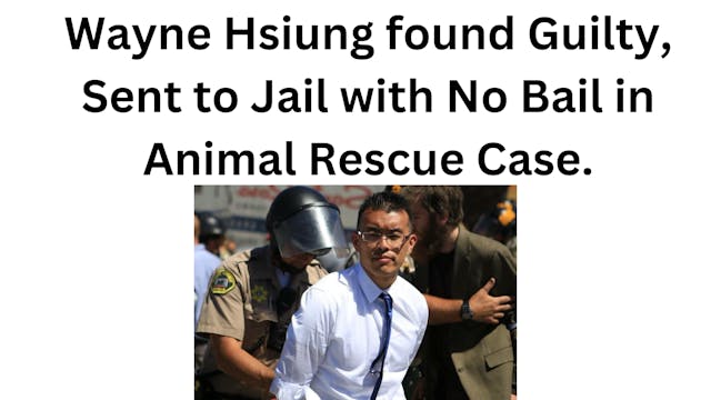 Wayne Hsiung Found Guilty On 3 Counts...