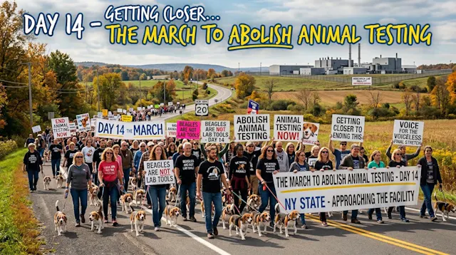 Day 14 March To End Animal Tests