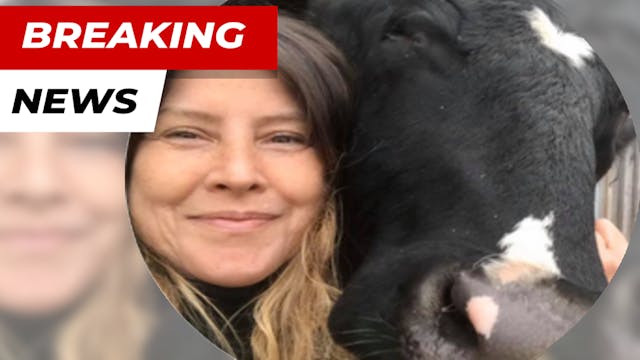 Animal Sanctuary Owner Charged With F...