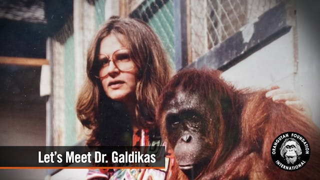 Let’s meet Dr. Galdikas