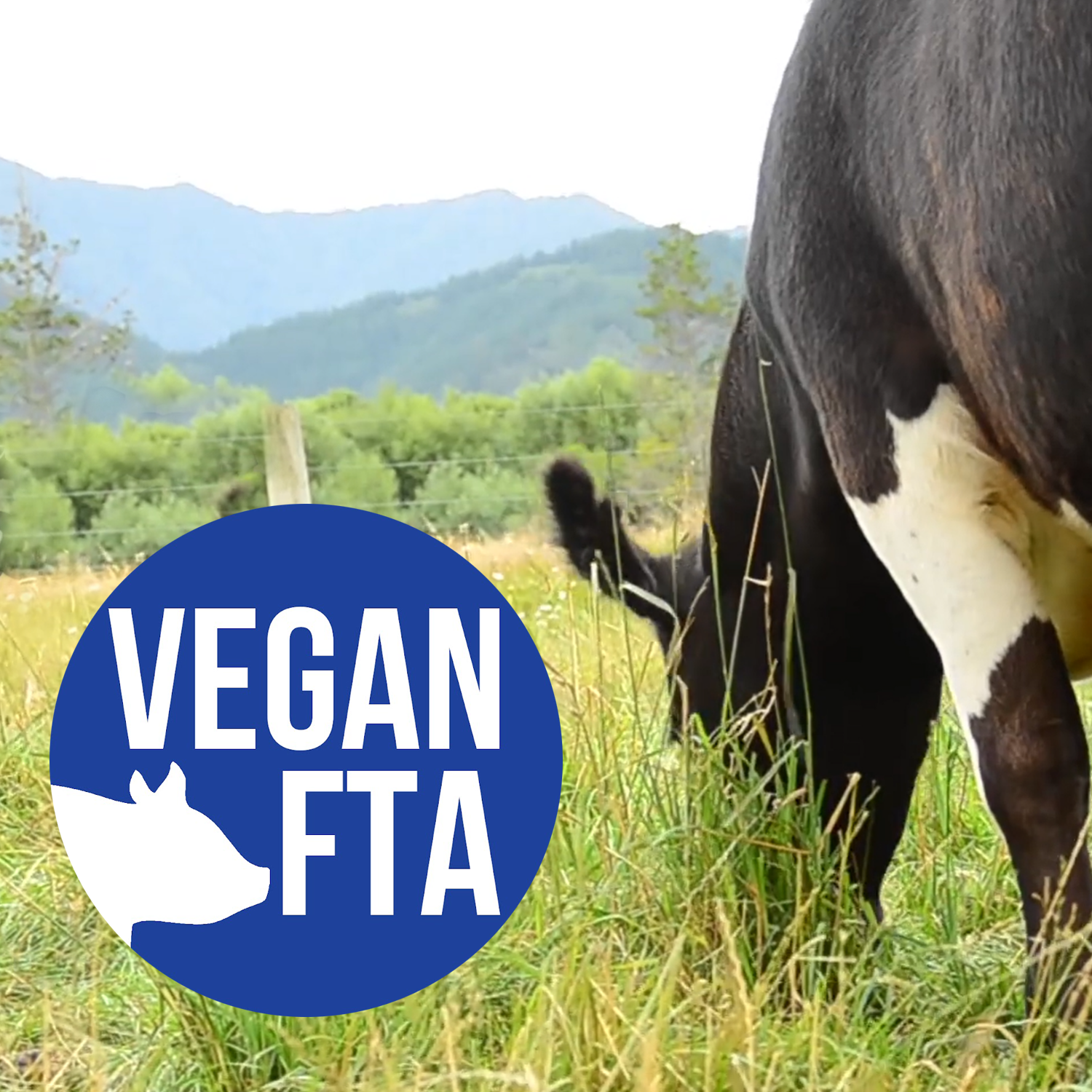 Vegan FTA