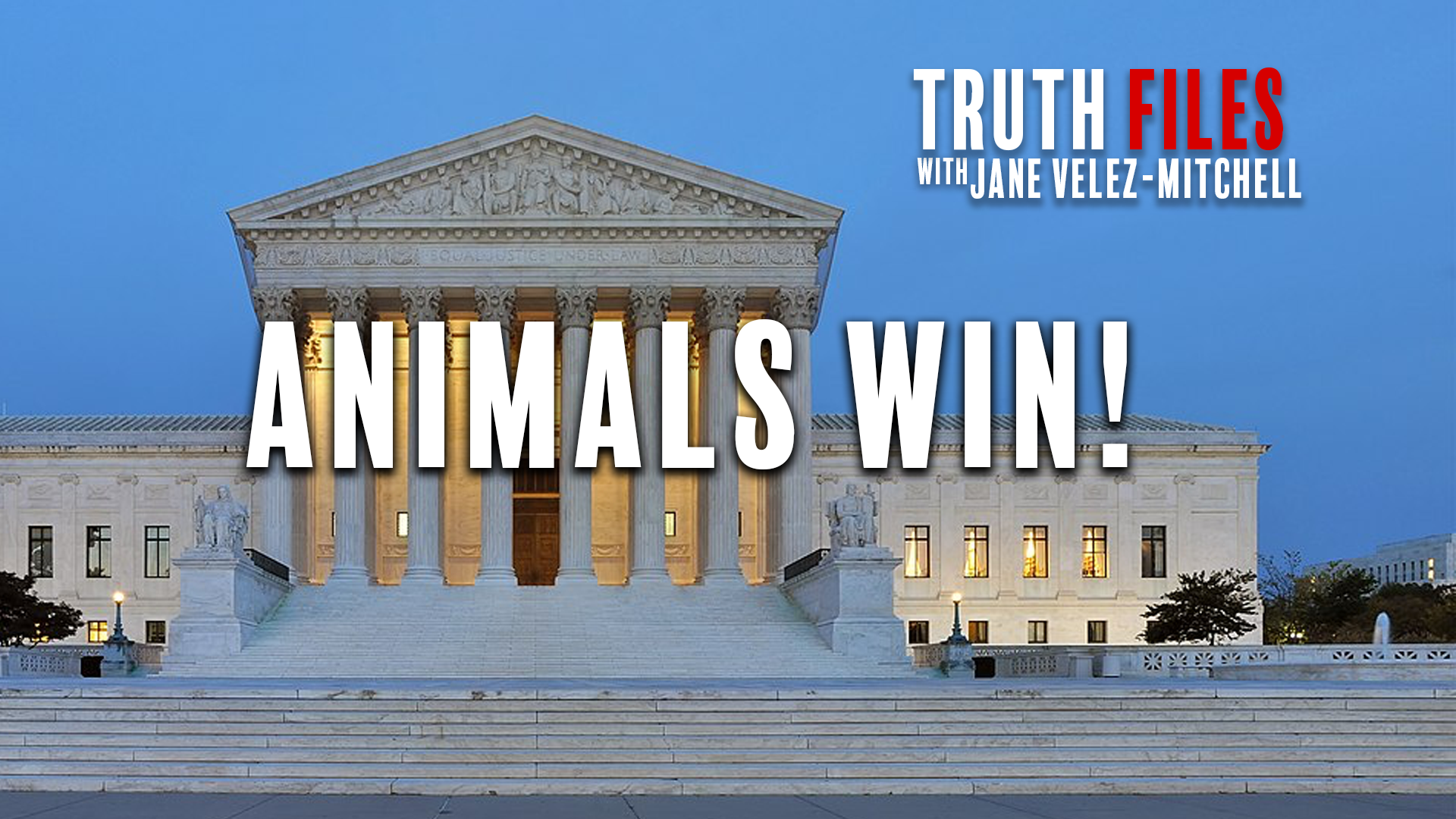 Big Wins for Animals!  