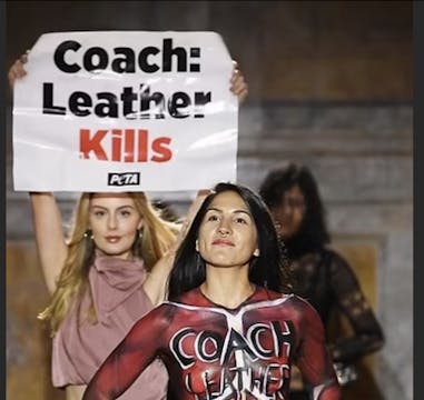 UnchainedTV Exclusive Interview: NY F...