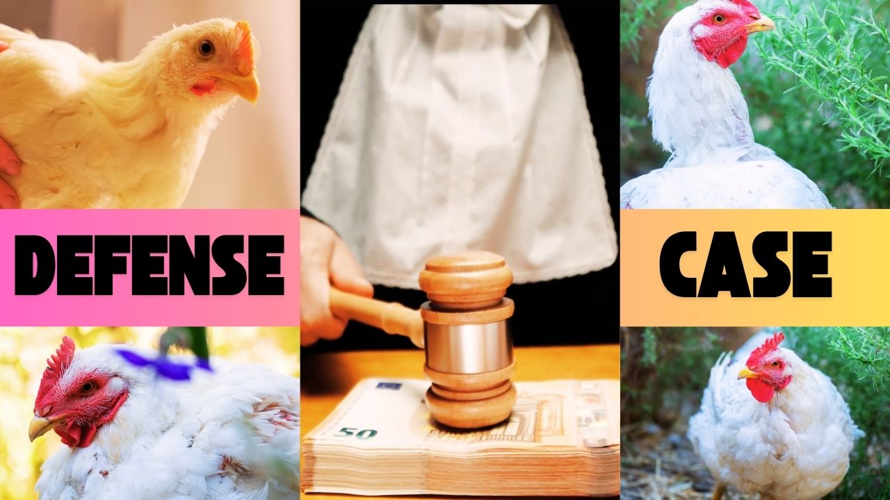 Defense Starts in Zoe Trial