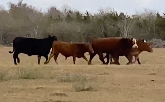 Reunited & It Feels So Good!