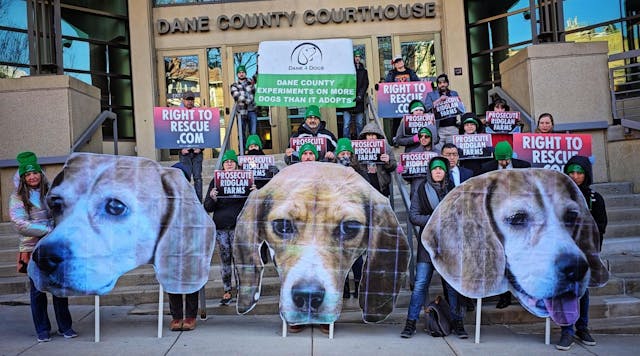 Dog Defenders March to End Beagle Tor...