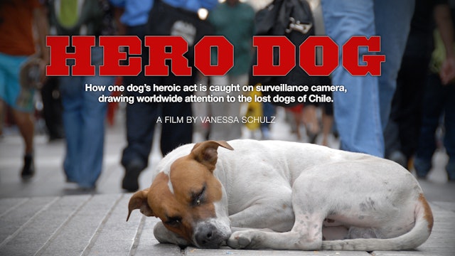 Hero Dog Trailer