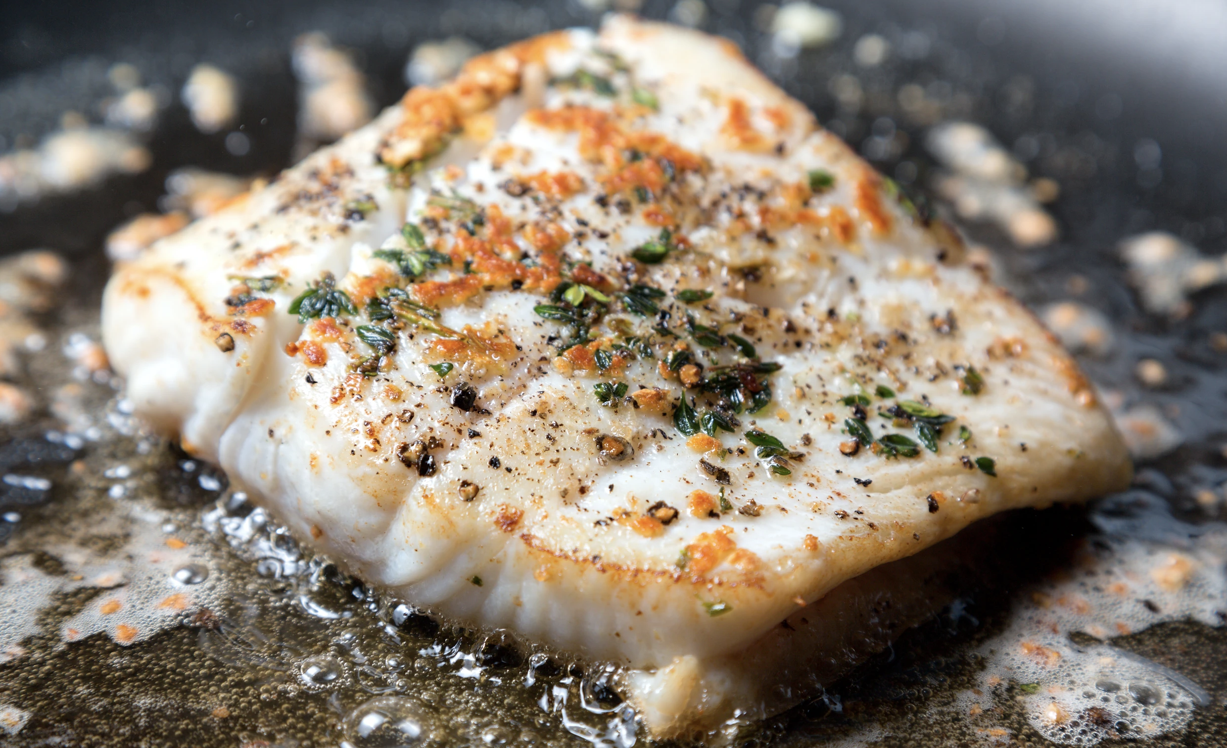 Cultivated Seafood is Here!