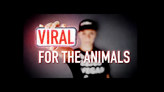 Viral for the Animals