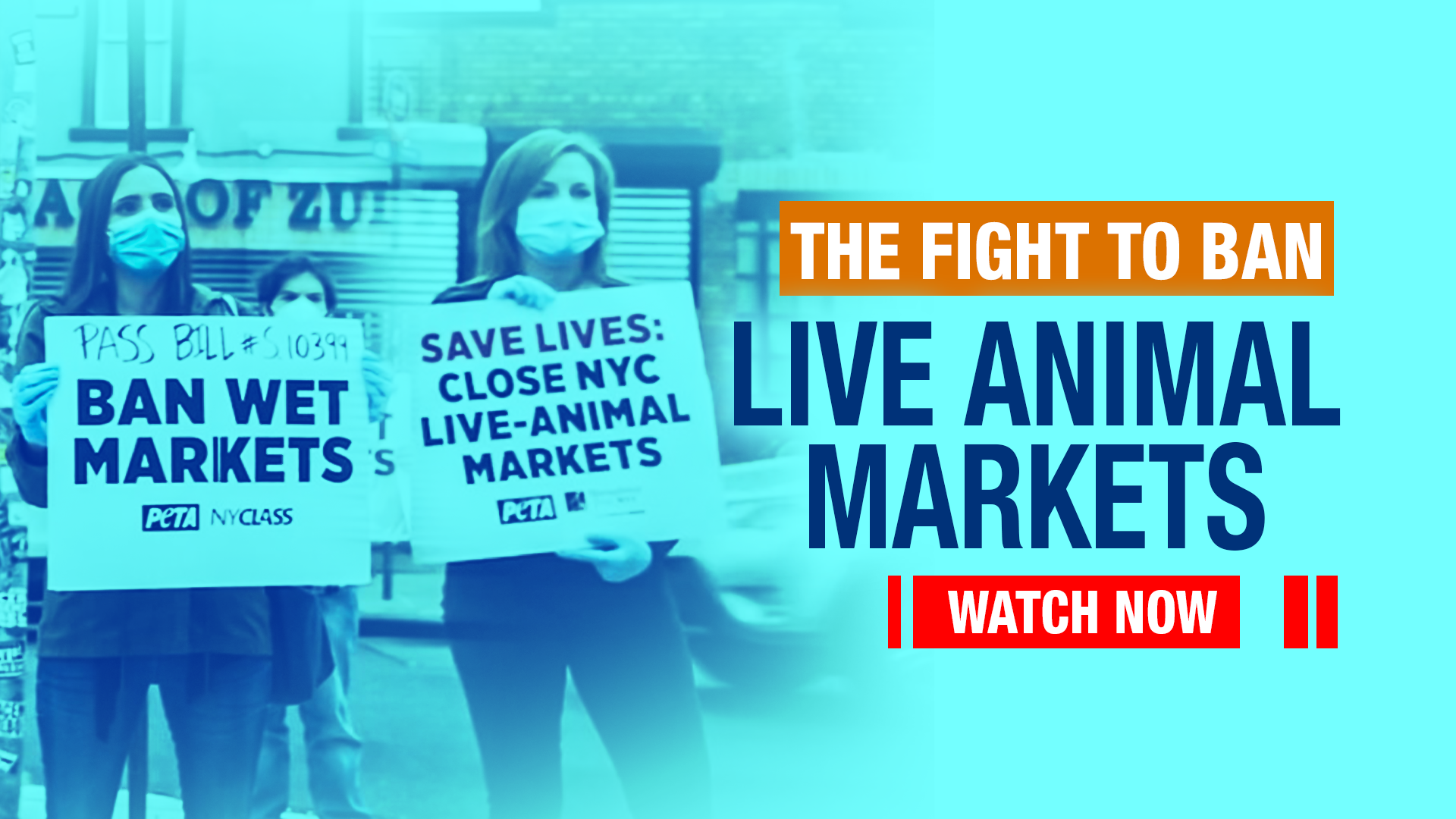 The Fight To Ban Live Animal Markets