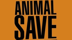Animal Save Movement