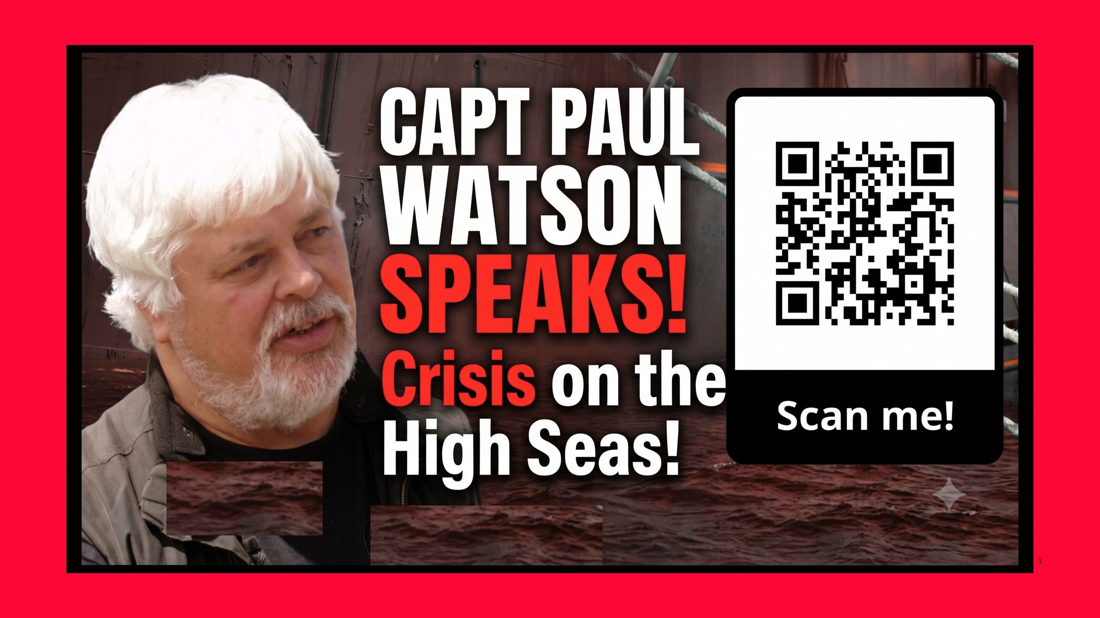Captain Paul Watson Speaks!