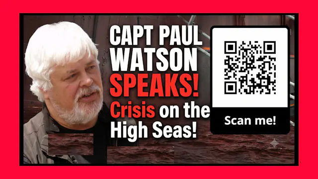 Captain Paul Watson Speaks!