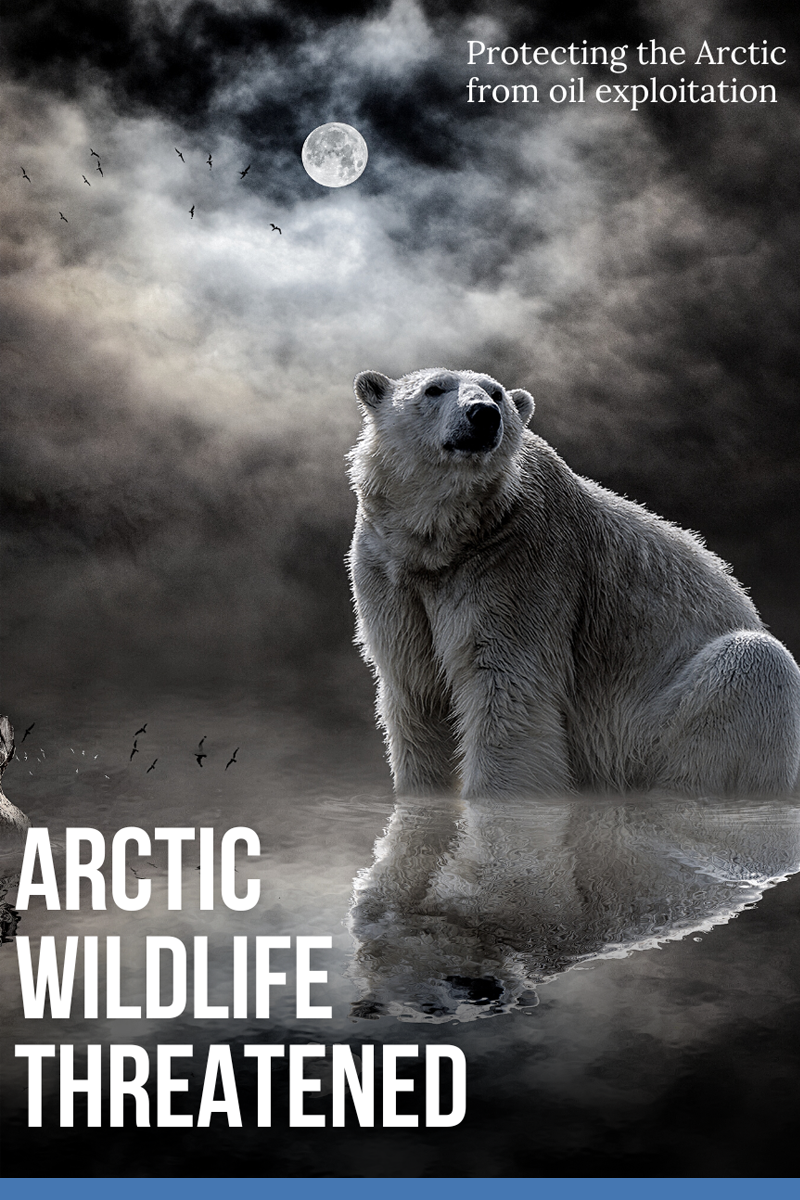 Arctic Wildlife Threatened
