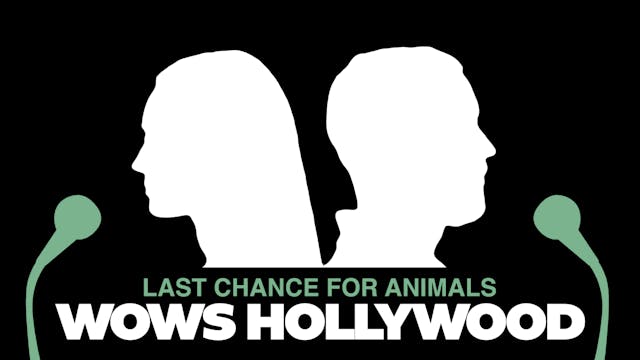 Last Chance for Animals Wows Hollywood