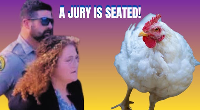Day 11 #ChickenRescueTrial