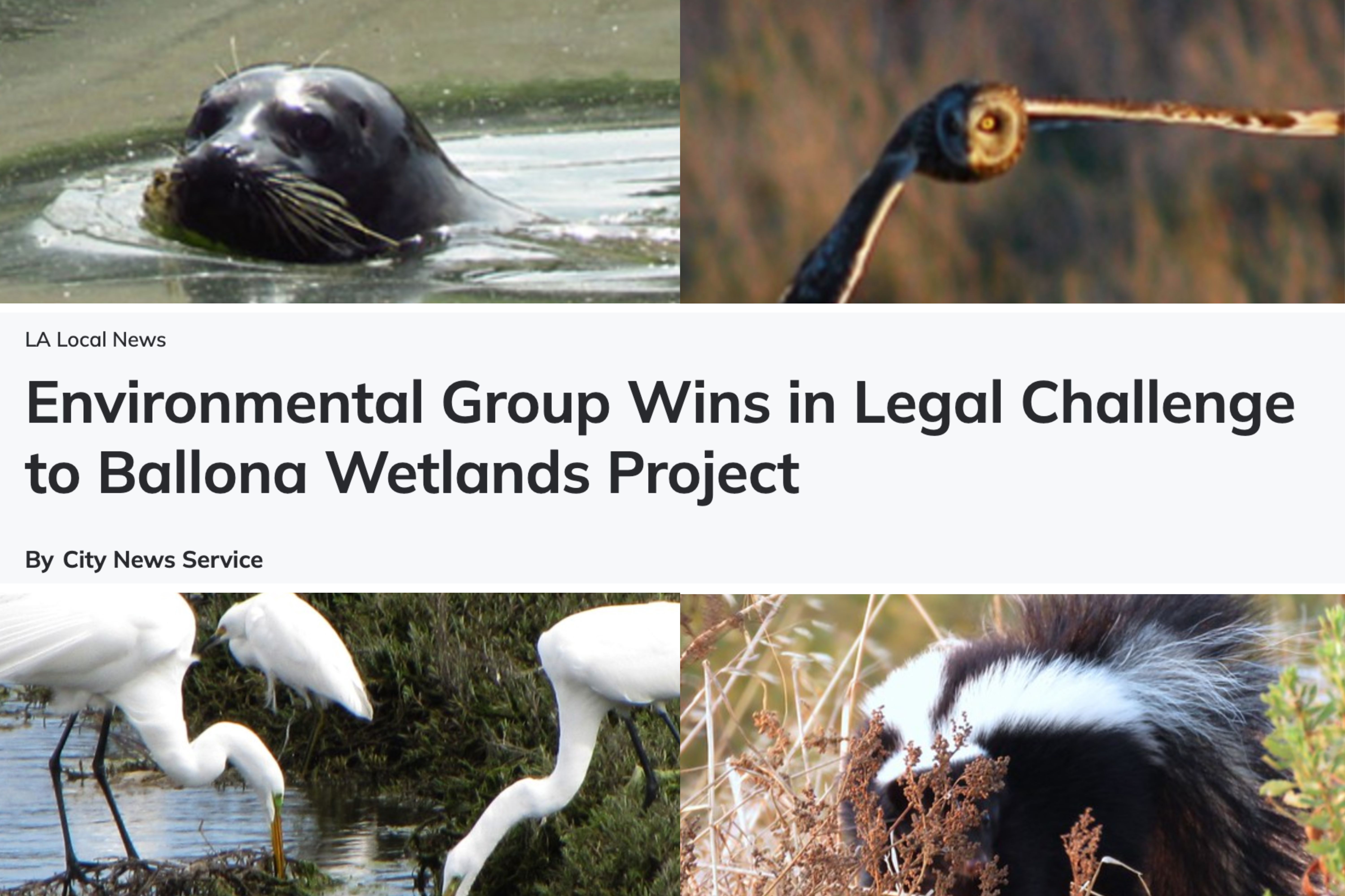  VICTORY: JUDGE NIXES FAKE LA WETLANDS “RESTORATION”