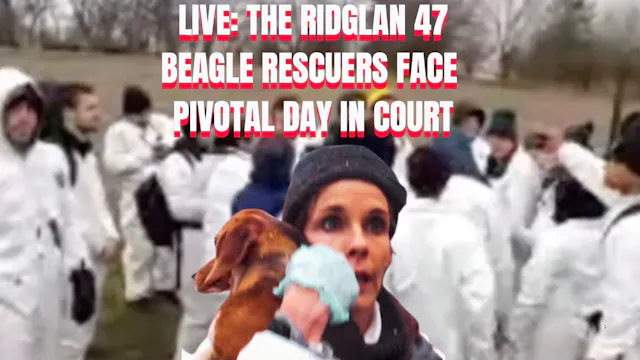 LIVE: Beagle Rescuers in Court!