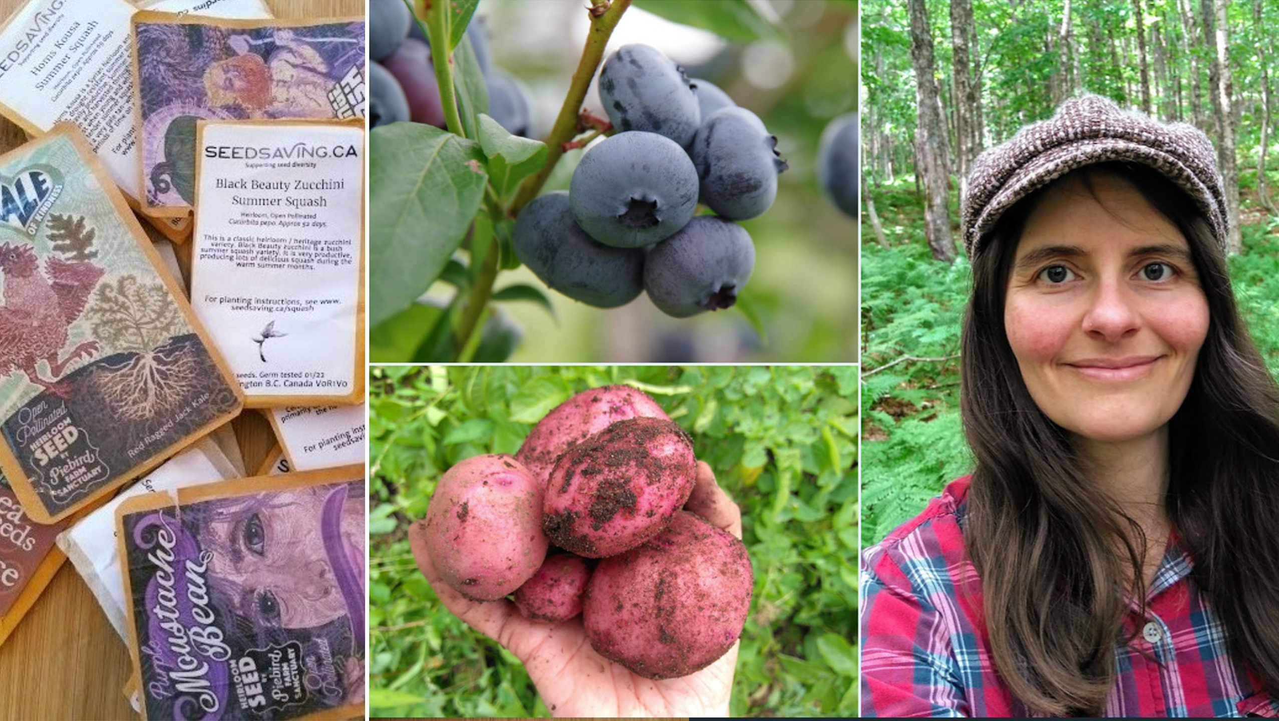 Let's Grow Veganic  Food!