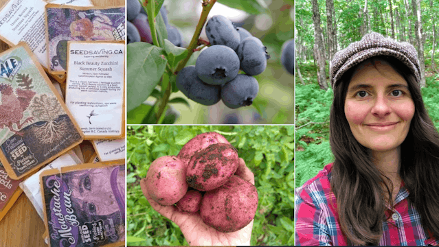 Let's Grow Veganic  Food!