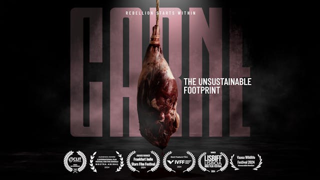 CARNE - The Unsustainable Footprint