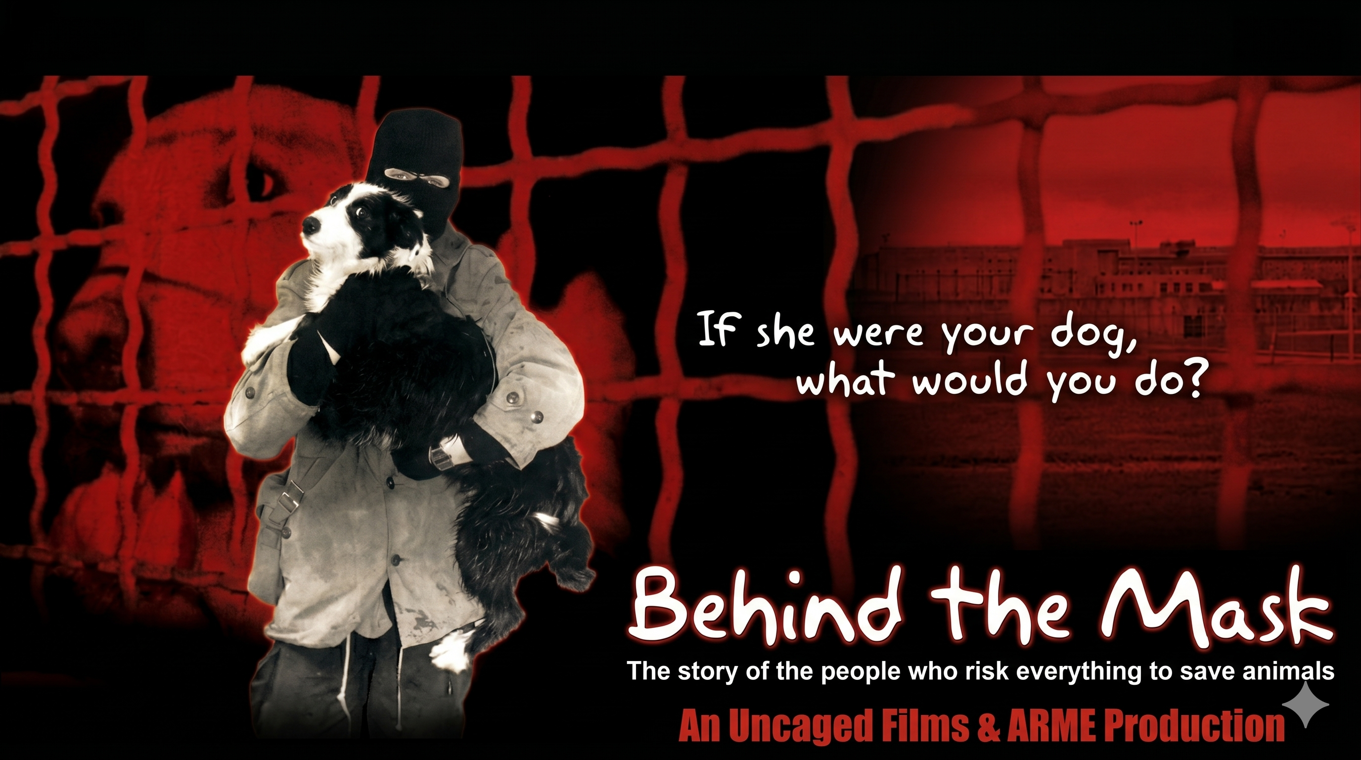 Behind The Mask