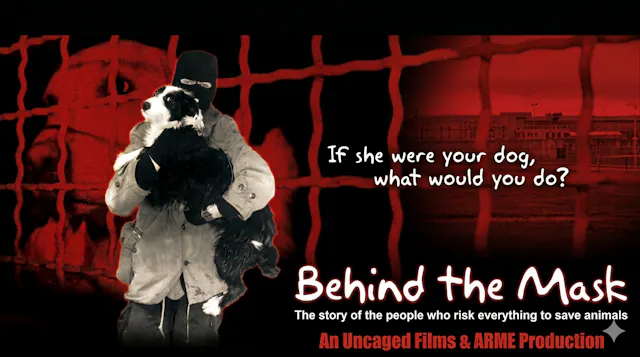 Behind The Mask