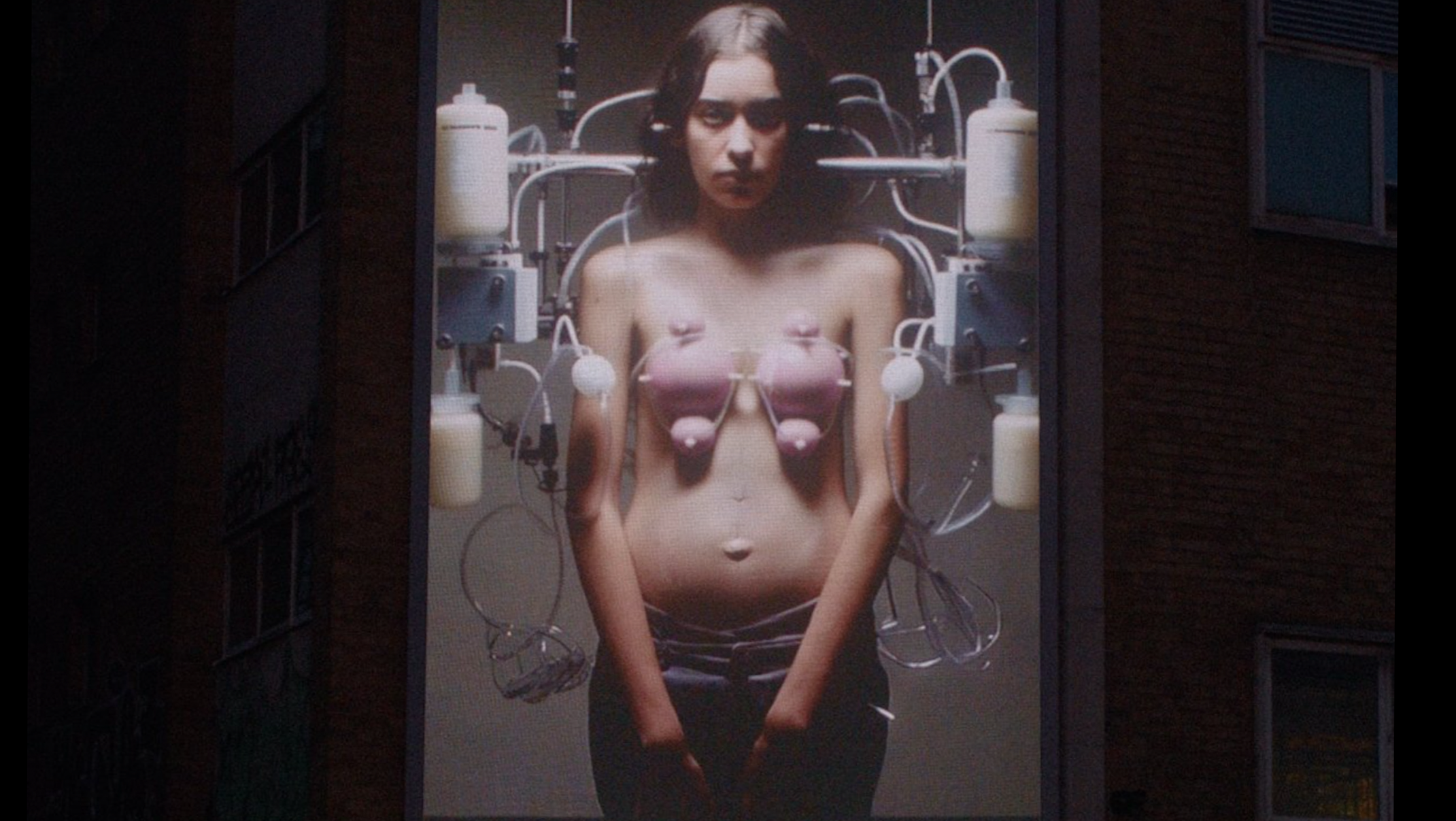 Controversial Billboards Spotlight Speciesism