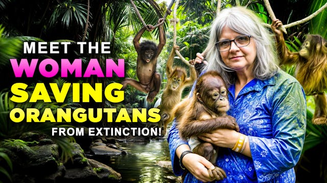 Meet the Woman Saving Orangutans from...