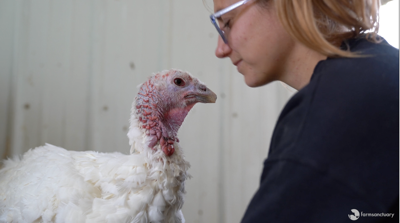 Behind the Scenes at Farm Sanctuary