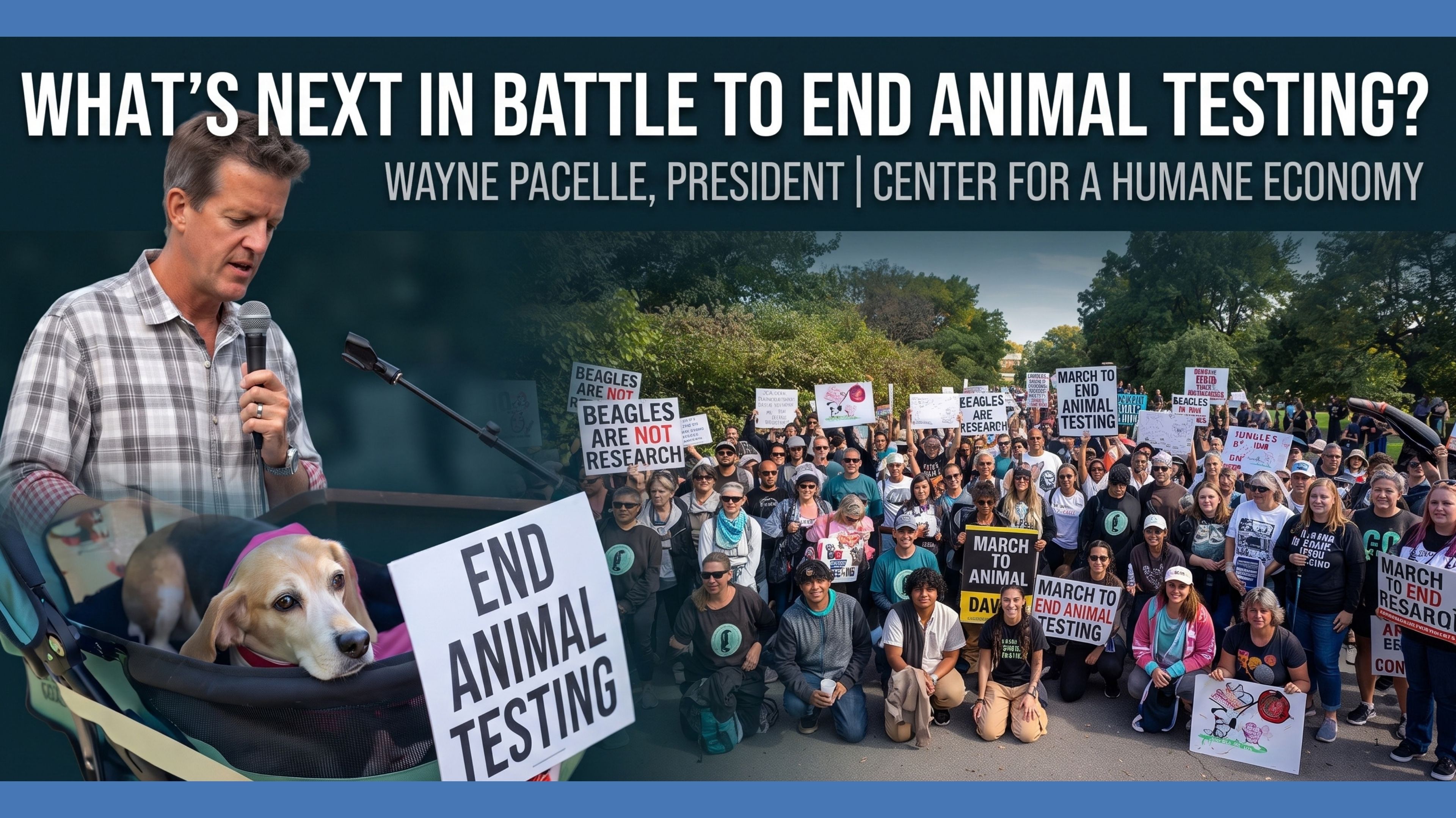What’s Next? Ending Animal Tests